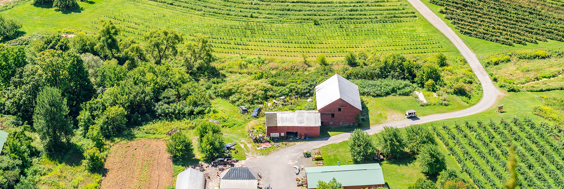 Old Rural Property with Barn